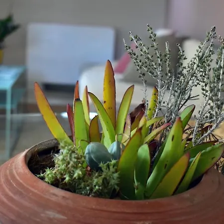 Tatil Evi The Little House In Kaiafas