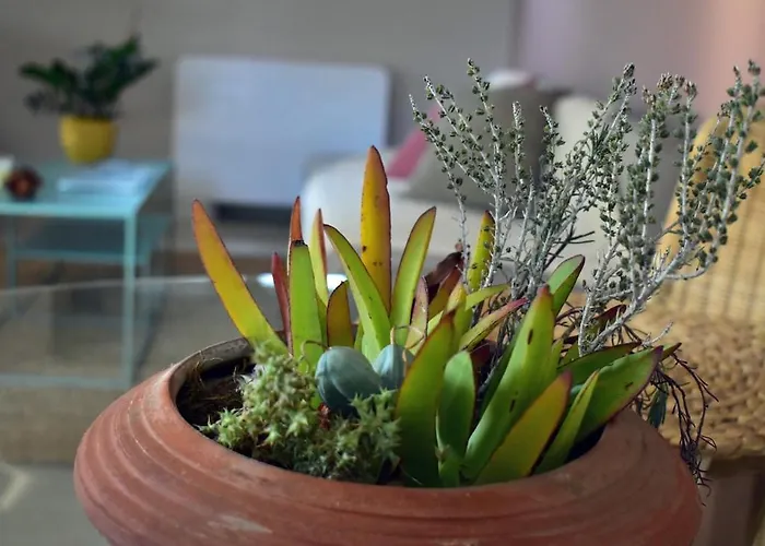 Дом отдыха The Little House In Kaiafas